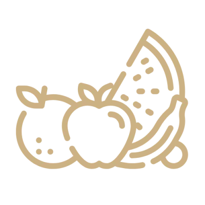 Icone fruits