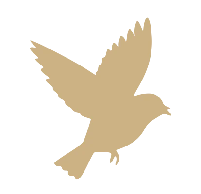 Logo oiseau liberté