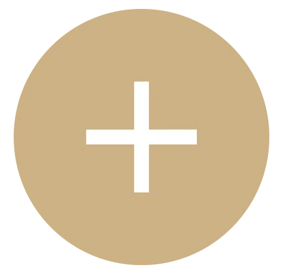 logo plus