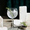 Botaniets gin sans alcool