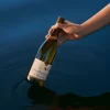 Chardonnay moderato