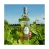 peche-coquin-blanc-sans-alcool-00