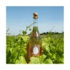 peche-coquin-sparkling-rose