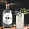 Gin sans alcool