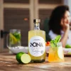Nona Ginger | Alternative au gin sans alcool, profil épicé – Image 2