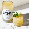 Gin sans alcool