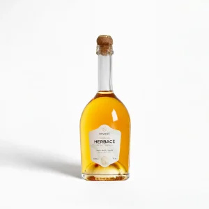 boissons sans alcool de dégustation